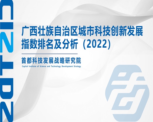 欧美大鸡吧操逼看施视频【成果发布】广西壮族自治区城市科技创新发展指数排名及分析（2022）